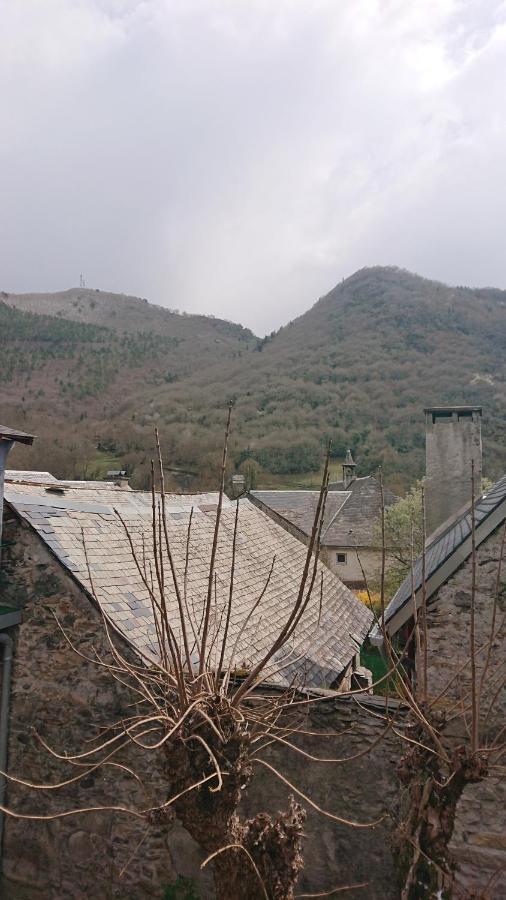 Appartement Dans Ancienne Maison Pyreneenne. Cadeac Bagian luar foto